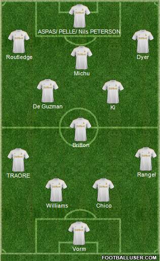 Swansea City Formation 2013