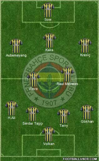 Fenerbahçe SK Formation 2013