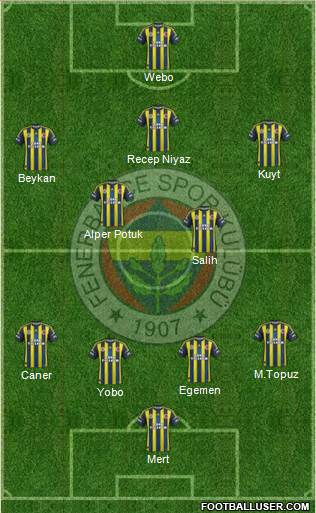 Fenerbahçe SK Formation 2013