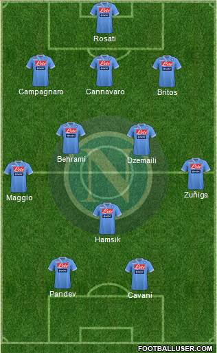Napoli Formation 2013