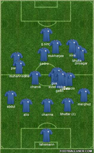India Formation 2013