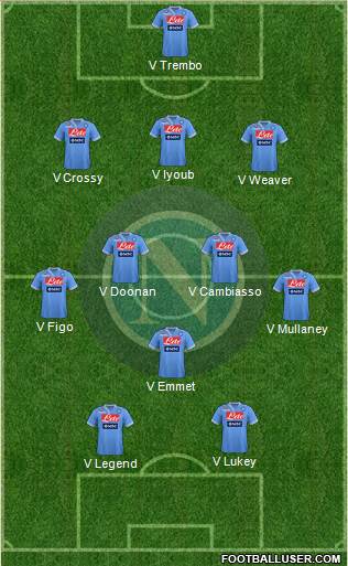 Napoli Formation 2013