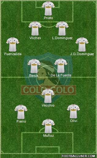 CSD Colo Colo Formation 2013