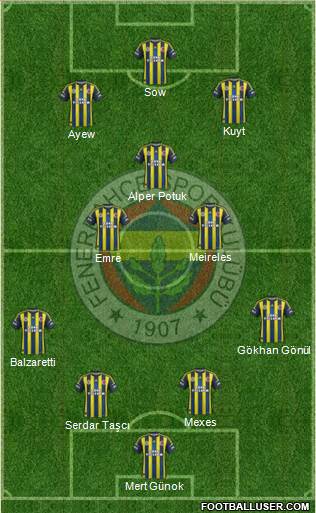 Fenerbahçe SK Formation 2013