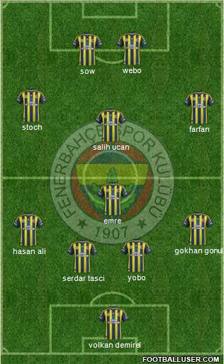 Fenerbahçe SK Formation 2013