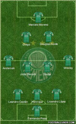 SE Palmeiras Formation 2013