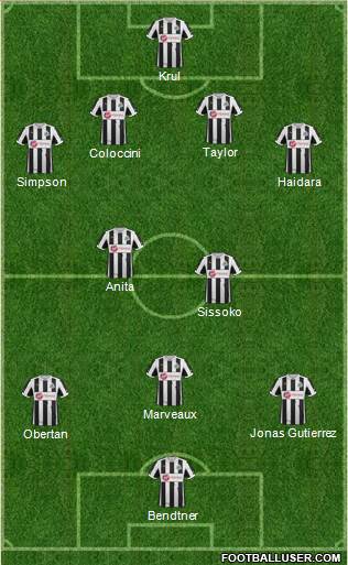 Newcastle United Formation 2013
