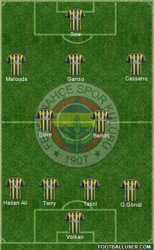 Fenerbahçe SK Formation 2013