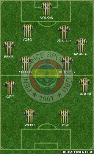 Fenerbahçe SK Formation 2013