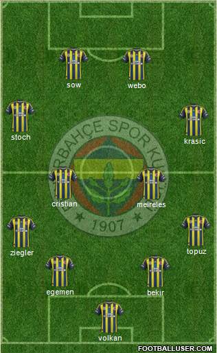 Fenerbahçe SK Formation 2013