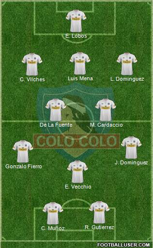 CSD Colo Colo Formation 2013