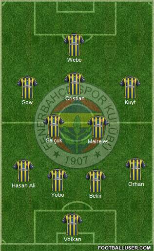 Fenerbahçe SK Formation 2013