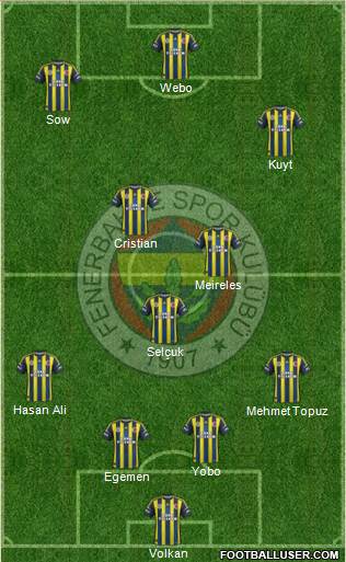 Fenerbahçe SK Formation 2013