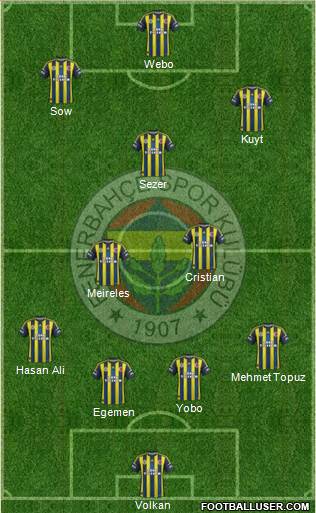 Fenerbahçe SK Formation 2013