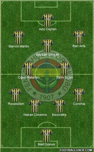 Fenerbahçe SK Formation 2013