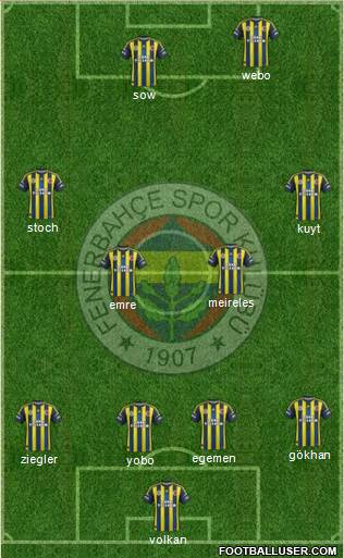 Fenerbahçe SK Formation 2013