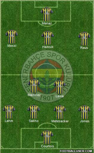 Fenerbahçe SK Formation 2013