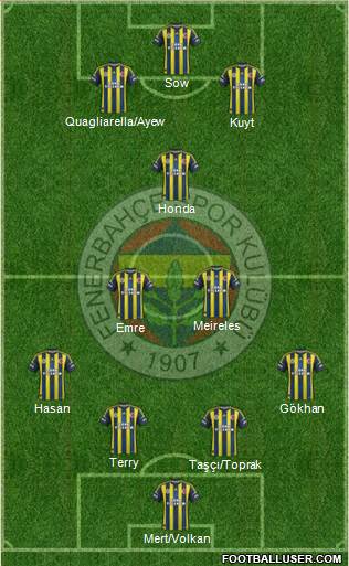 Fenerbahçe SK Formation 2013