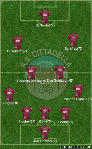 Cittadella Formation 2013