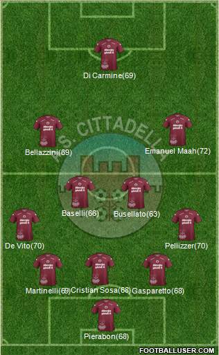 Cittadella Formation 2013