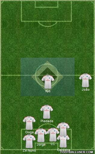 Hamburger SV Formation 2013