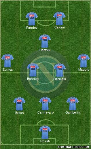 Napoli Formation 2013