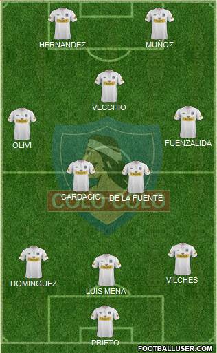 CSD Colo Colo Formation 2013
