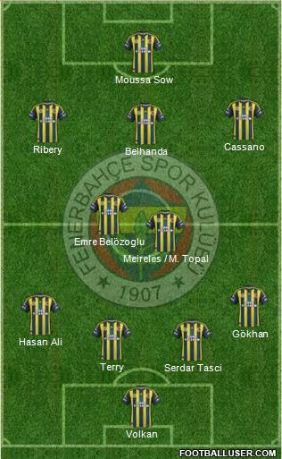 Fenerbahçe SK Formation 2013