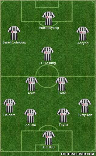 Newcastle United Formation 2013