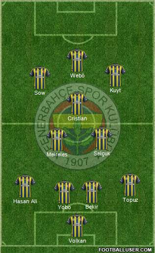 Fenerbahçe SK Formation 2013