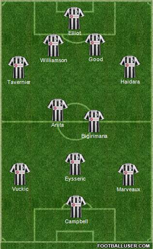 Newcastle United Formation 2013