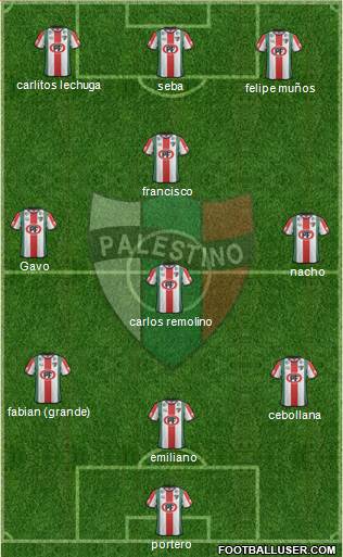 CD Palestino S.A.D.P. Formation 2013