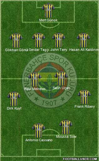 Fenerbahçe SK Formation 2013