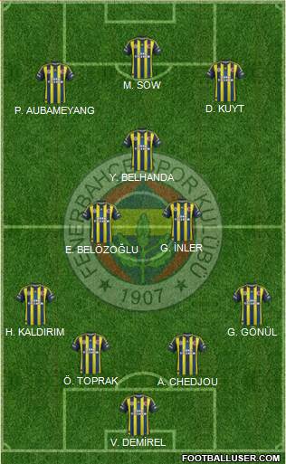 Fenerbahçe SK Formation 2013