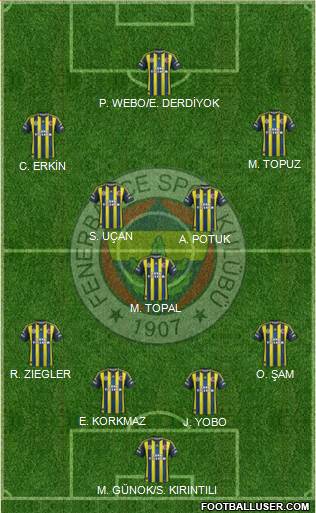 Fenerbahçe SK Formation 2013