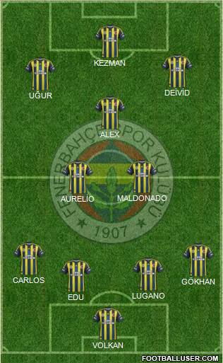 Fenerbahçe SK Formation 2013