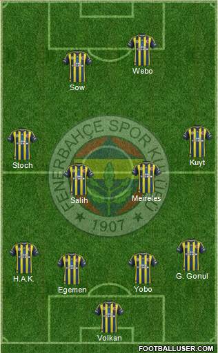 Fenerbahçe SK Formation 2013
