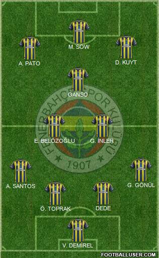 Fenerbahçe SK Formation 2013
