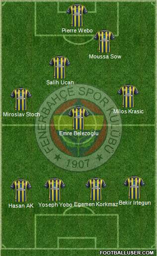 Fenerbahçe SK Formation 2013