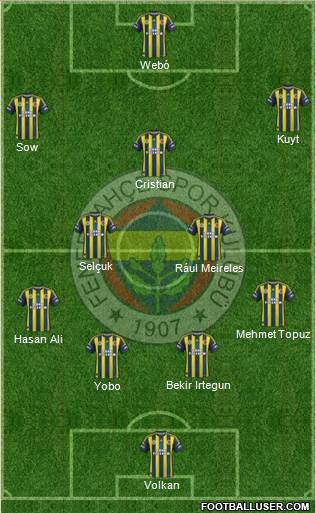 Fenerbahçe SK Formation 2013