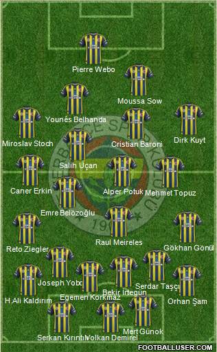 Fenerbahçe SK Formation 2013