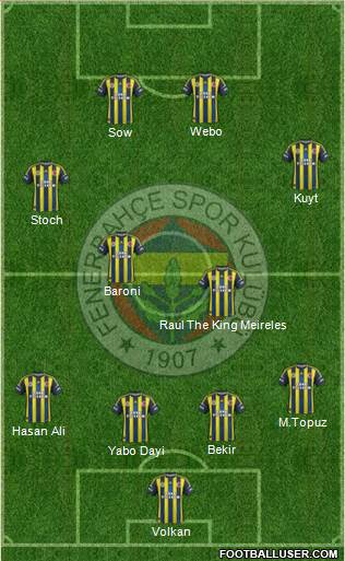 Fenerbahçe SK Formation 2013
