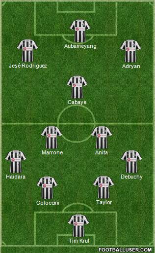 Newcastle United Formation 2013