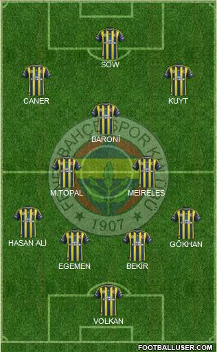 Fenerbahçe SK Formation 2013