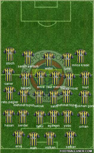 Fenerbahçe SK Formation 2013