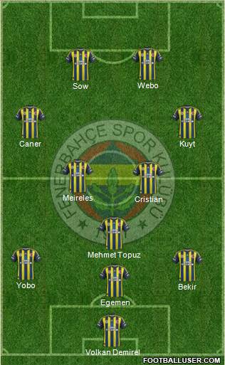 Fenerbahçe SK Formation 2013