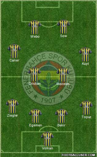 Fenerbahçe SK Formation 2013