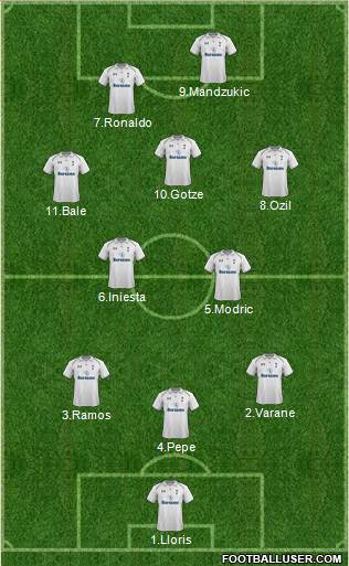 Tottenham Hotspur Formation 2013