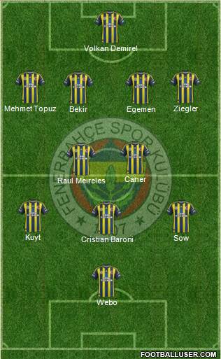 Fenerbahçe SK Formation 2013
