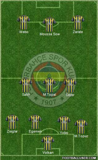Fenerbahçe SK Formation 2013